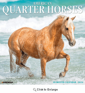 2024 American Quarter Horses Calendar Willow Creek