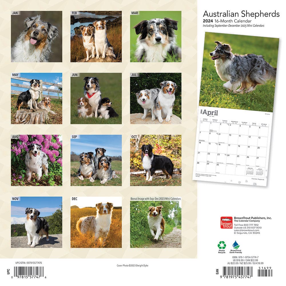 Australian Shepherds Calendar 2025Animal Den