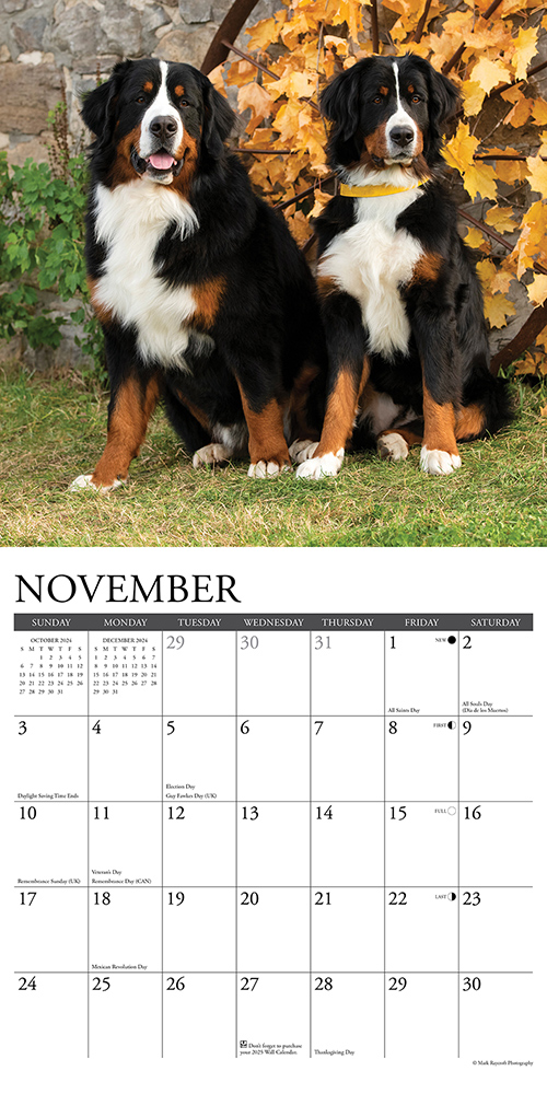 Berners Calendar 2024Animal Den