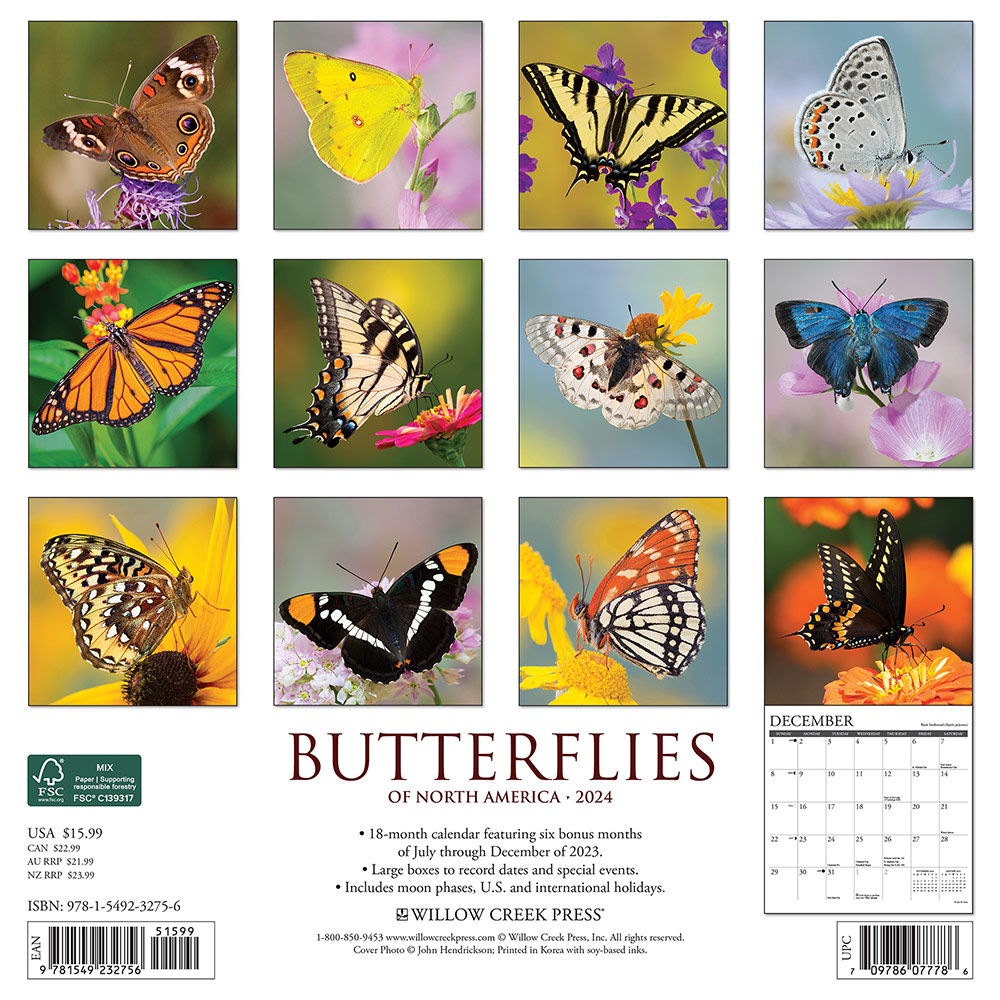 Butterflies Calendar 2024 Willow