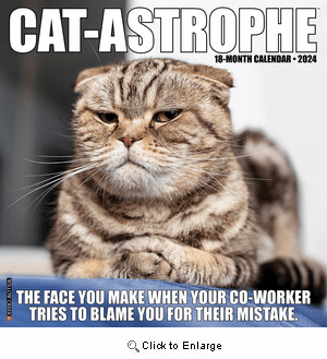 2024 Cat-astrophe Calendar