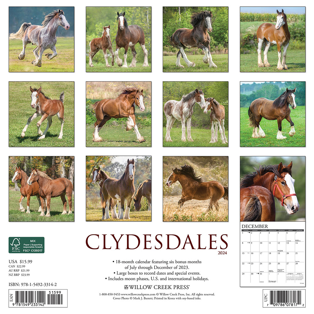 Clydesdales Calendar 2024 Willow
