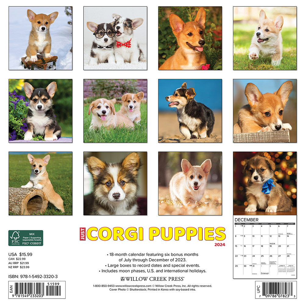 Corgi Puppies Calendar 2024|Animal Den