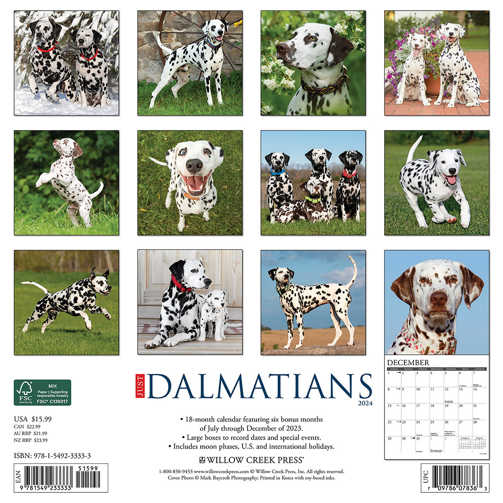 Dalmatians Calendar 2024 Willow Creek PressAnimal Den
