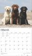 2025 For the Love of Black Labrador Retrievers Deluxe Calendar