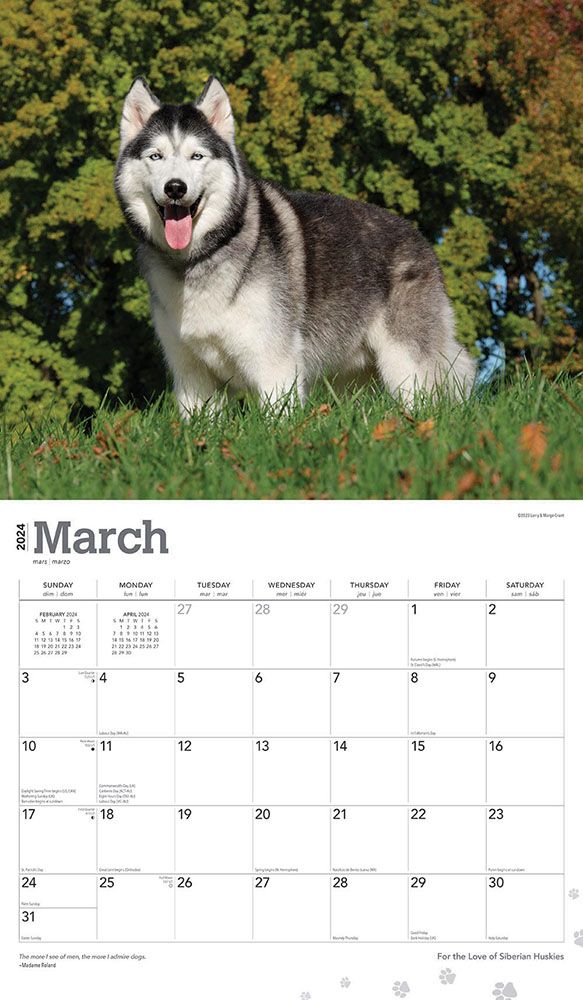 For the Love of Siberian Huskies Deluxe Calendar 2024|Animal Den