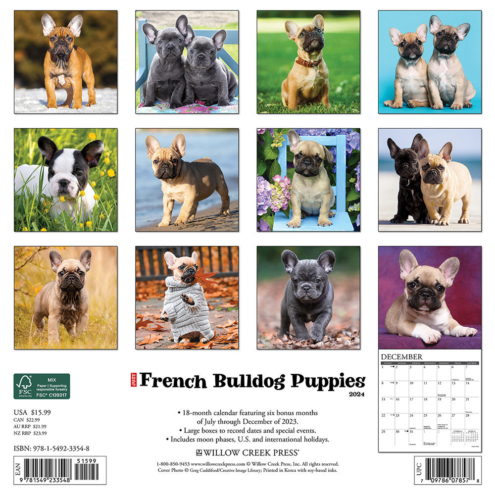 French Bulldog Puppies Calendar