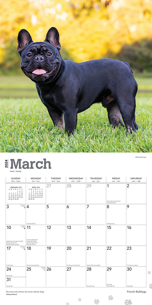 French Bulldogs Calendar 2024|Animal Den