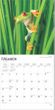 2025 Frogs Calendar