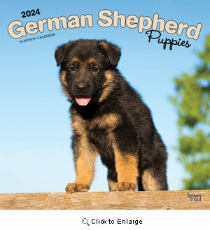 2024 German Shepherd Puppies Calendar