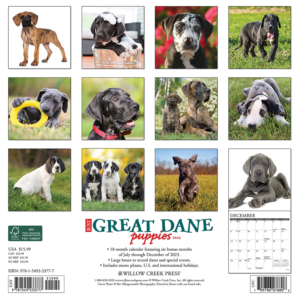 Great Dane Puppies Calendar 2024 Willow Creek