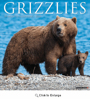 2025 Grizzly Bears Calendar