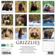 2025 Grizzly Bears Calendar