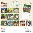 2025 Honey Bunny Calendar Brown Trout