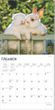2025 Honey Bunny Calendar Brown Trout