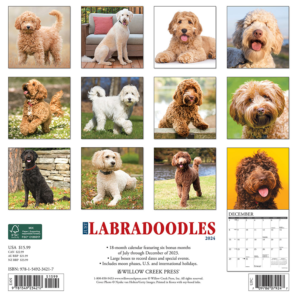 Labradoodles Calendar 2024Animal Den