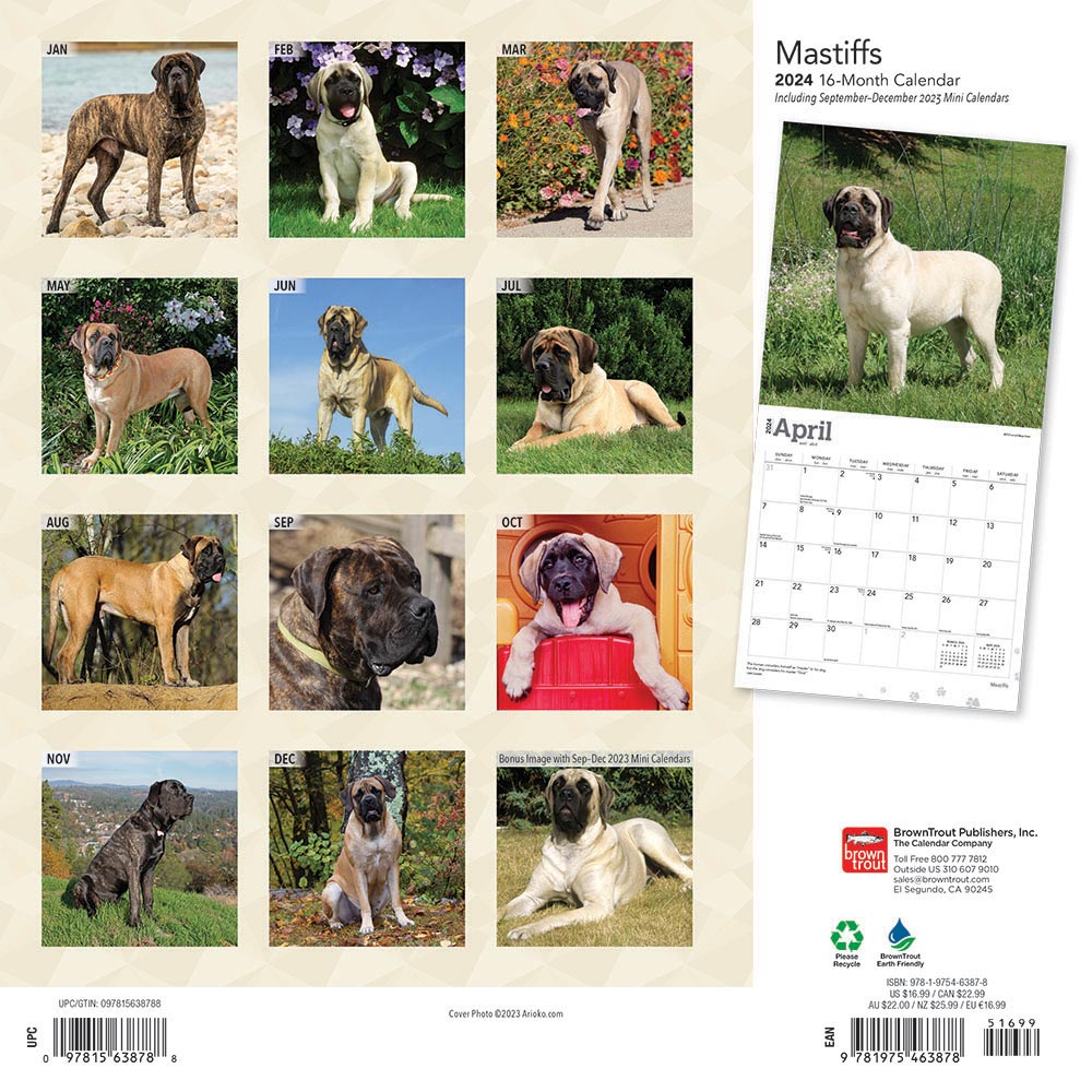 Mastiffs Calendar 2024Animal Den