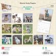 2025 Siberian Husky Puppies Calendar
