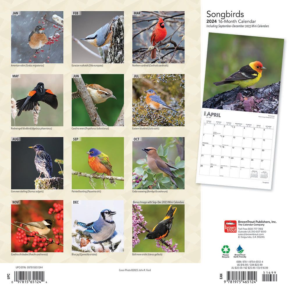 Songbirds Calendar 2024Animal Den