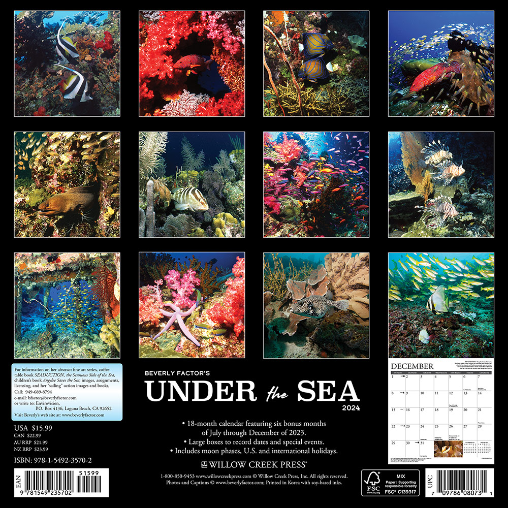 Under the Sea Calendar 2024 Willow