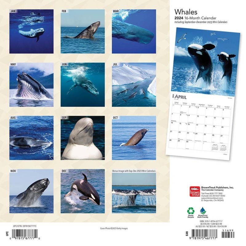 Whales Calendar 2024Animal Den