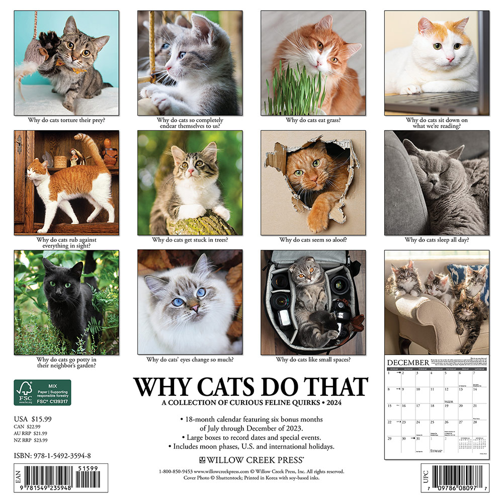 Why Cats Do That Calendar 2024 Willow