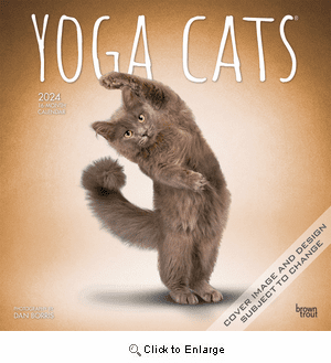 2024 Yoga Cats Calendar