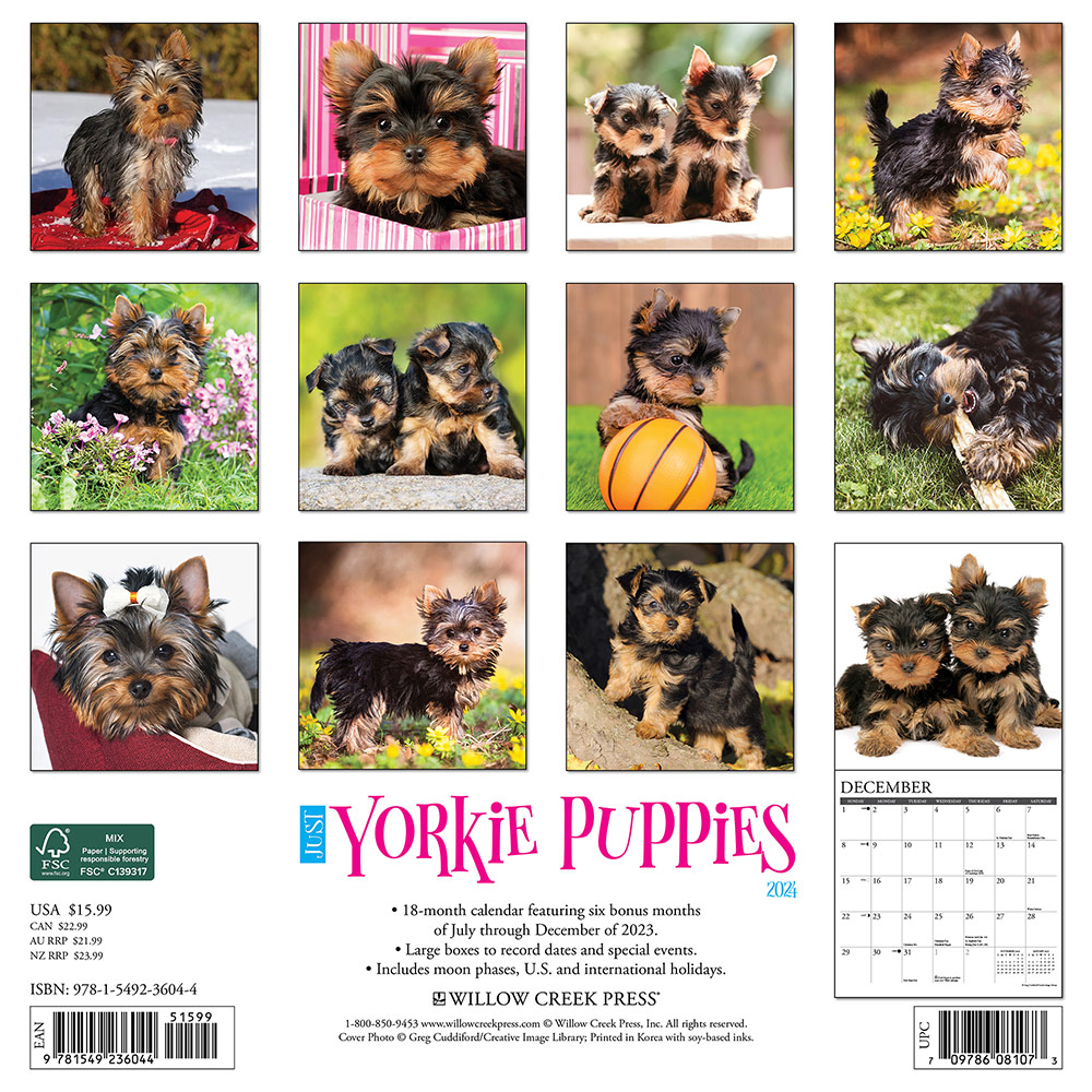 Yorkie Puppies Calendar 2024Animal Den