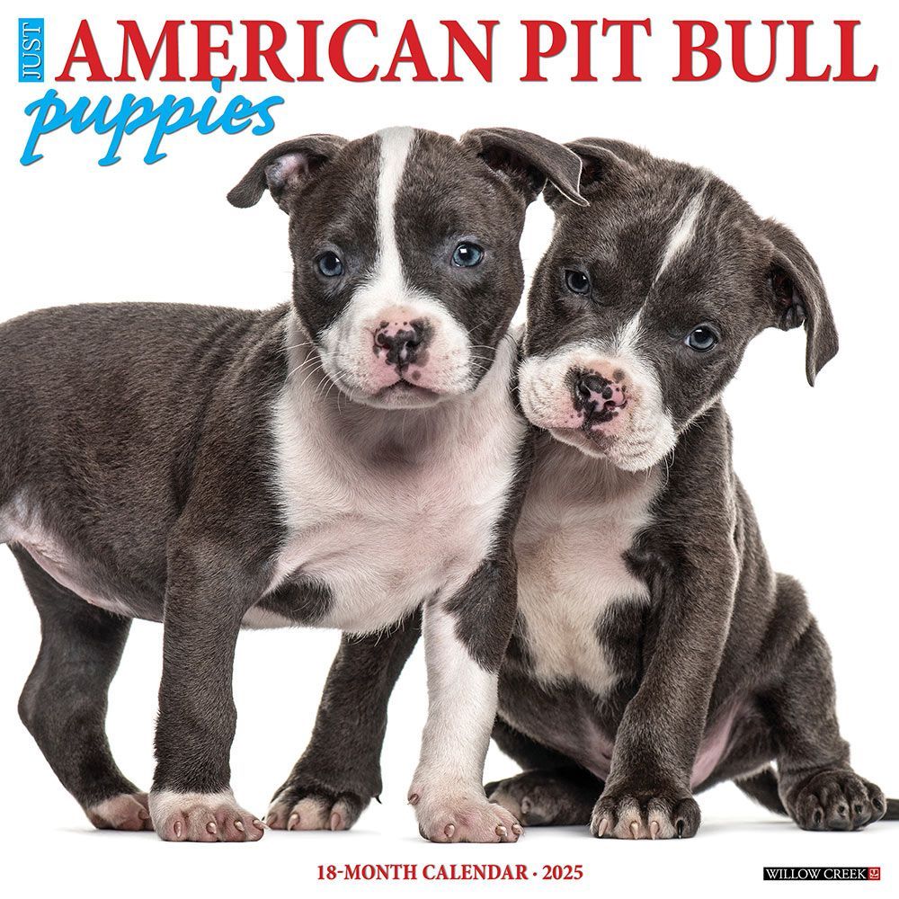 2025 American Pit Bull Terrier Puppies Calendar Willow Creek