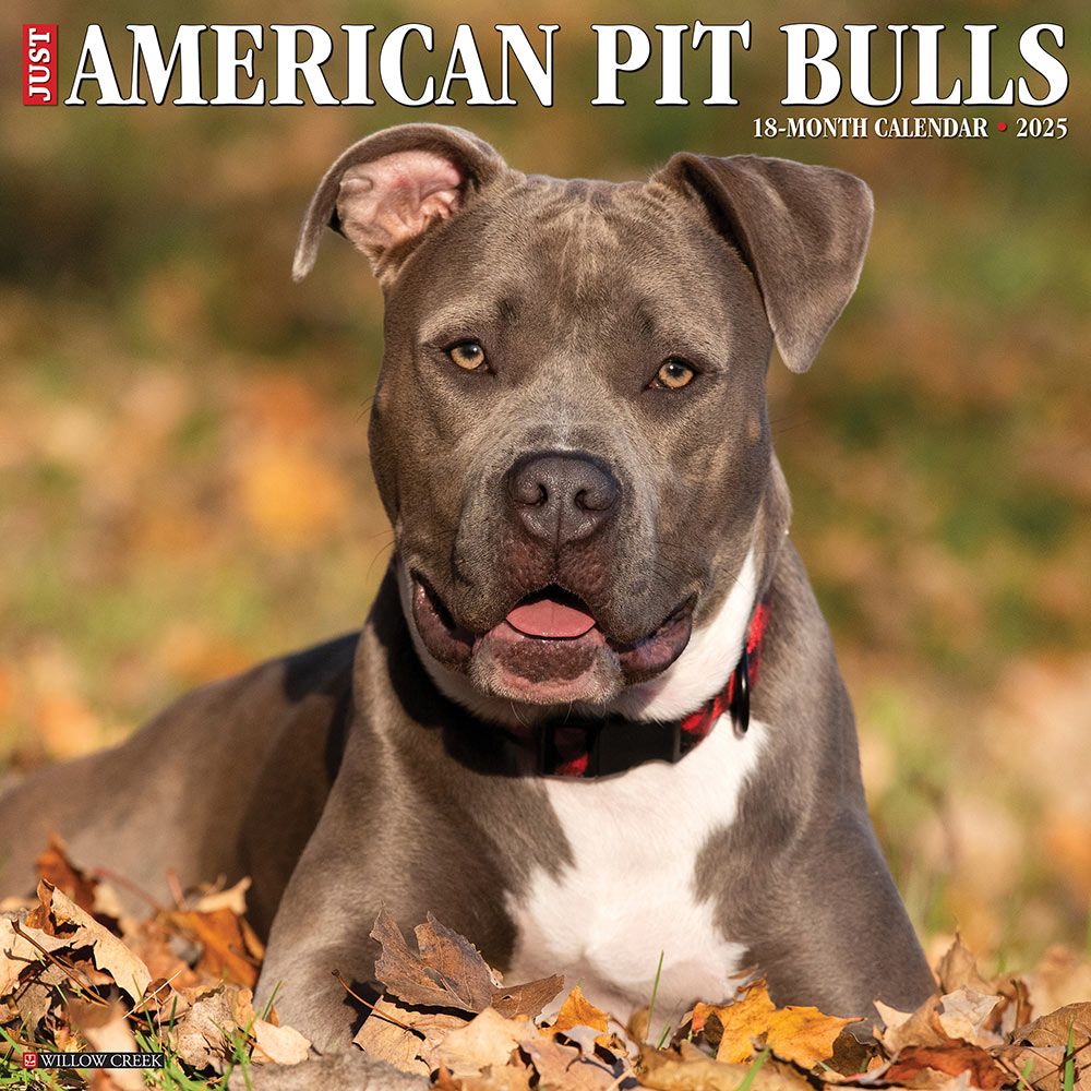 2025 American Pit Bull Terriers Calendar Willow Creek