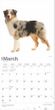 2025 Australian Shepherds Calendar