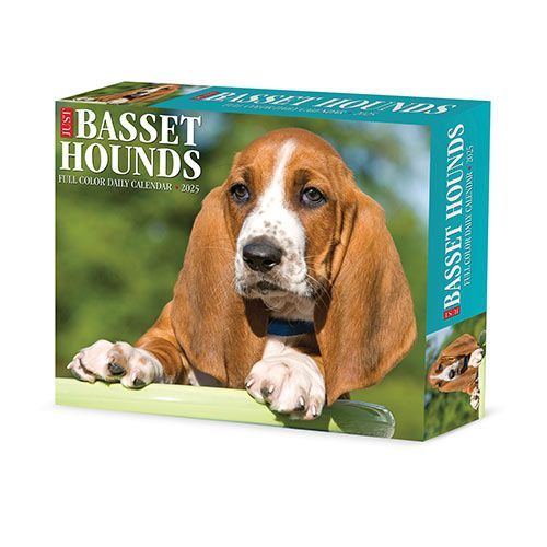 Basset Hounds Box Calendar 2025 Willow