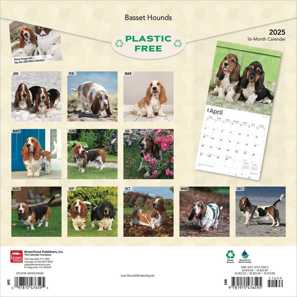 Basset Hounds Calendar 2025 Animal Den 2025 Basset Hounds Calendar 18