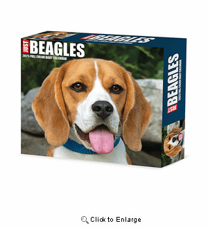 2025 Beagles Box Calendar Willow Creek