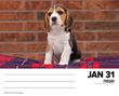 2025 Beagles Box Calendar Willow Creek