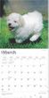 2025 Bichon Frise Puppies Calendar