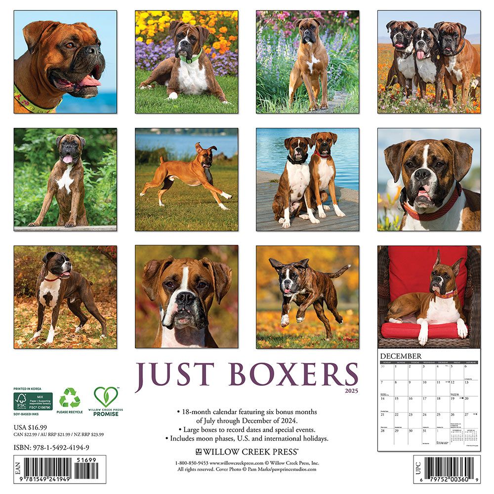 Boxers Calendar 2025 Willow