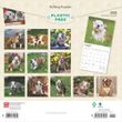 2025 Bulldog Puppies Calendar