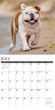 2025 Bulldogs Calendar Willow Creek