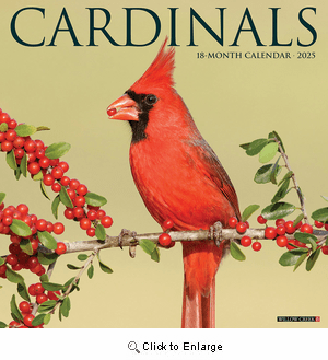 2025 Cardinals Calendar Willow Creek
