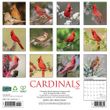 2025 Cardinals Calendar Willow Creek