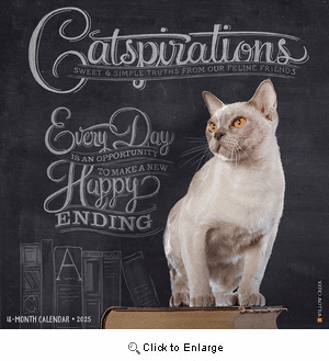 2025 Catspirations Calendar