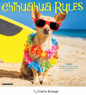 2025 Chihuahua Rules Calendar Willow Creek