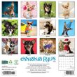 2025 Chihuahua Rules Calendar Willow Creek