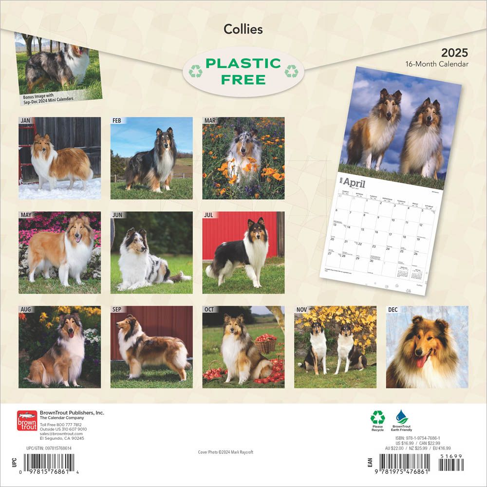 Collies Calendar 2025Animal Den