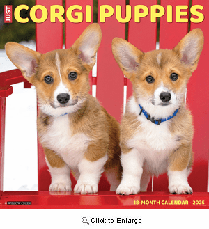 2025 Corgi Puppies Calendar