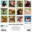 2025 Dachshunds Calendar Willow Creek