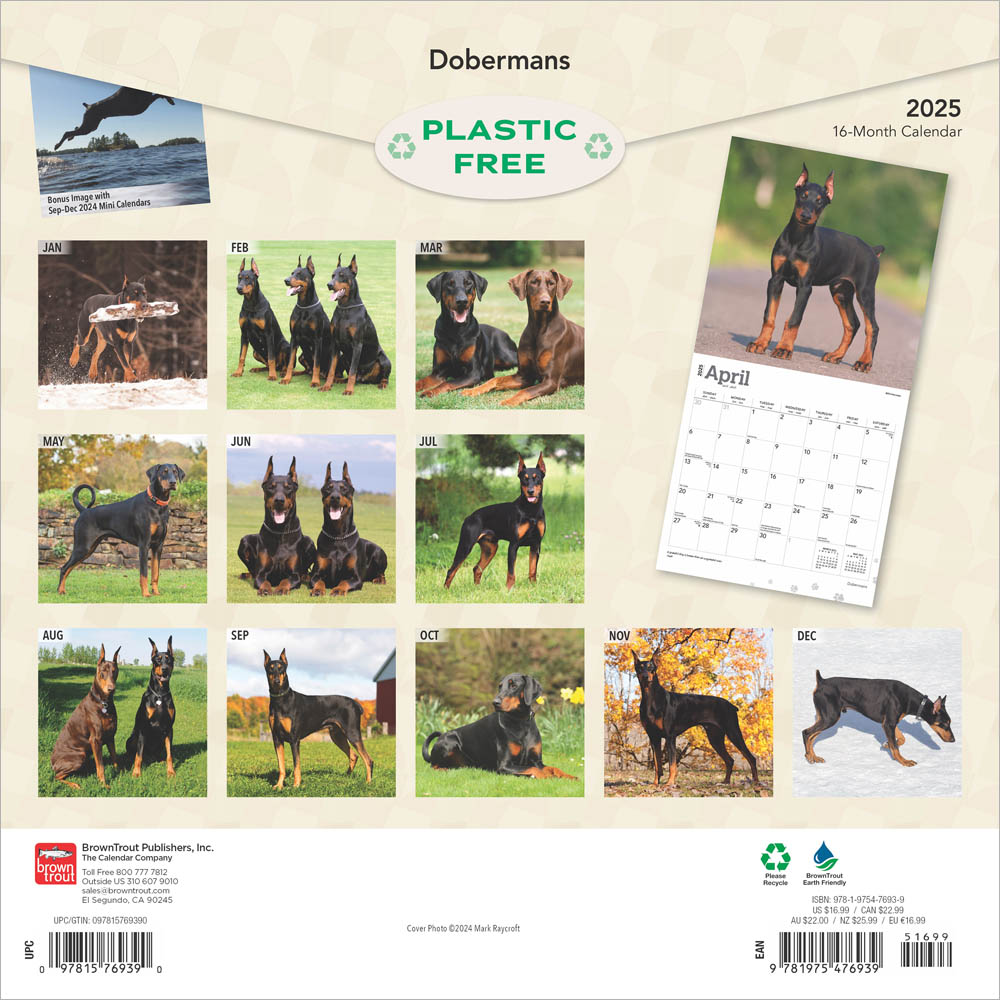 Dobermans Calendar 2025Animal Den
