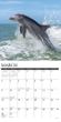 2025 Dolphins Calendar Willow Creek