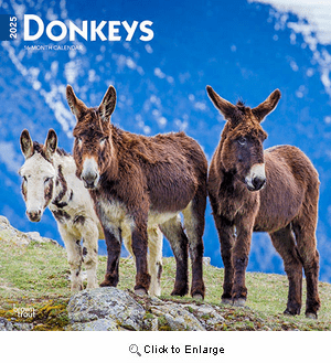 2025 Donkey Calendar